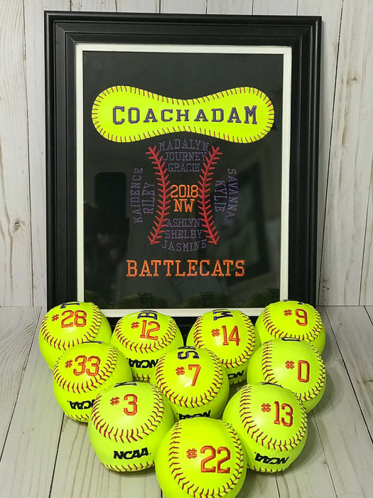 Embroidered Softballs